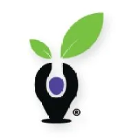 Indigo Impact Initiative Indigo Impact Initiative