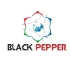 BlackPepper Technologies Pvt Ltd