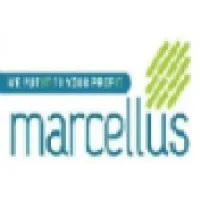 Marcellus infotech Pvt Ltd