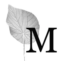 Macaranga Media