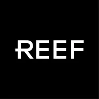 REEF REEF