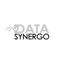 Data Synergo Sdn Bhd