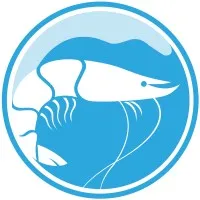 TransparentSea