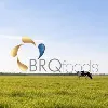 BRQfoods BRQfoods