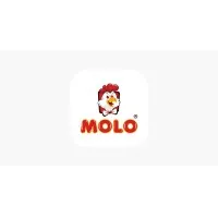 Molo