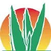 Aloe Jaumave