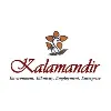 Kalamandir - The Celluloid Chapter Art Foundation Kalamandir - The Celluloid Chapter Art Foundation