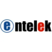Entelek IT Services