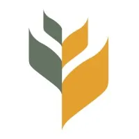 Amber Wave Amber Wave