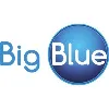Big Blue Services