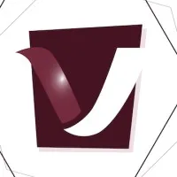 Vital Insurance Partners