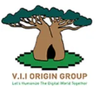 GROUP V.I.I ORIGIN