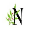 Nandina Home & Design Nandina Home & Design