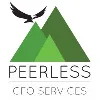 PEERLESS CFO SERVICES LLC PEERLESS CFO SERVICES LLC