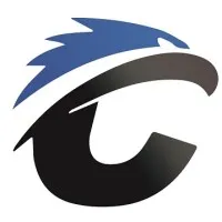 Challenger Defense Solutions