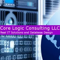 Core Logic Consulting LLC