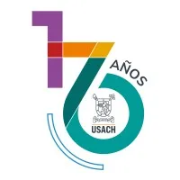 Universidad de Santiago de Chile email format