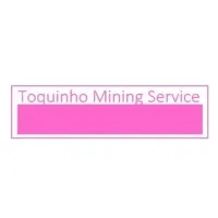 Toquinho Mining Service Toquinho Mining Service