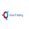 Direct IT Staffing, Inc. Direct IT Staffing, Inc.