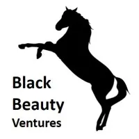 Black Beauty Ventures Black Beauty Ventures