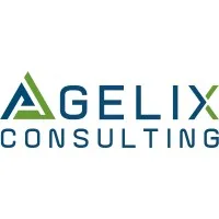 Agelix Consulting LLC