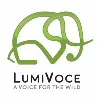 LumiVoce LumiVoce