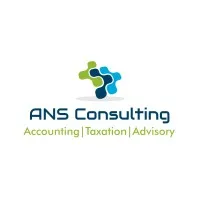 ANS Consulting