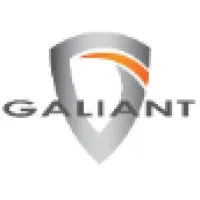 Galiant Business Solutions