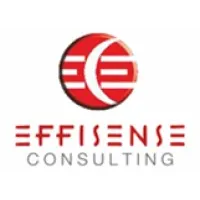Effisense Consulting