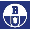 Boryszew S.A. Boryszew S.A.