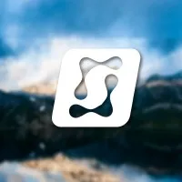 Snagged Internet Services