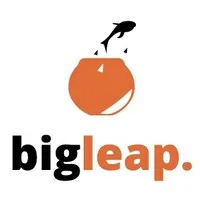 Big Leap Real Estate Services