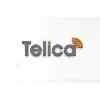 Telica Telecom Private Limited Telica Telecom Private Limited