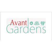 Avant-Gardens Miami