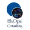 BluOpal Consulting LLC BluOpal Consulting LLC