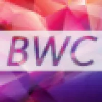 BWC Visual Technology
