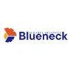 Blueneck Consulting Inc. Blueneck Consulting Inc.