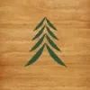 Zindia Forestry Limited Zindia Forestry Limited