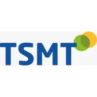 T Sriram, Mehta & Tadimalla, Chartered Accountants (TSMT)