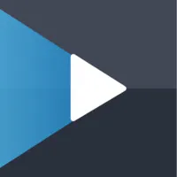 Videogram