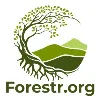 Forestr.org Forestr.org