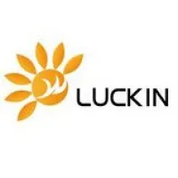 Luck In International Group Limited 