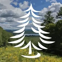 Berkshire Money Management