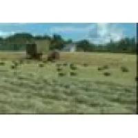 Excalibur Farm