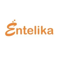 Entelika Consulting and IT Services