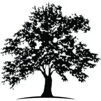 White Oak Healthcare Finance, LLC