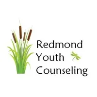 Salveo Youth Counseling