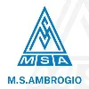 M.S.Ambrogio M.S.Ambrogio