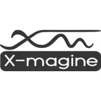 X-Magine Inc.