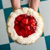 Polly's Pies Polly's Pies